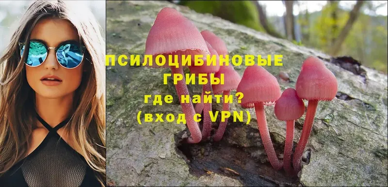 цены   Красноуфимск  Галлюциногенные грибы Magic Shrooms 